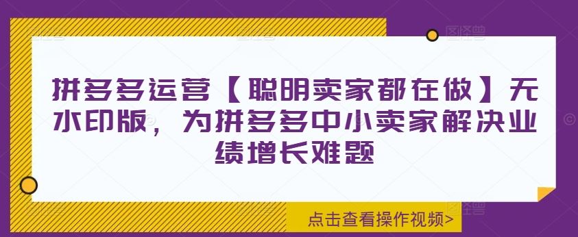 拼多多运营【聪明卖家都在做】无水印版，为拼多多中小卖家解决业绩增长难题-尤课网创