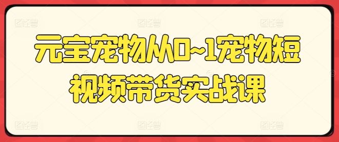 元宝宠物从0~1宠物短视频带货实战课-尤课网创