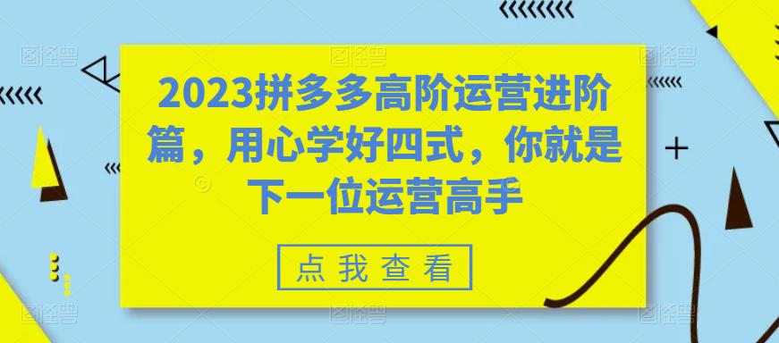 （6193期）2023拼多多高阶运营进阶篇，用心学好四式，你就是下一位运营高手-尤课网创