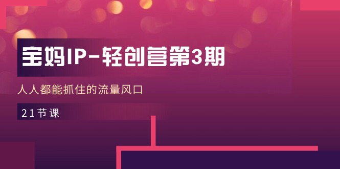 （11042期）宝妈IP-轻创营第3期，人人都能抓住的流量风口（21节课）-尤课网创