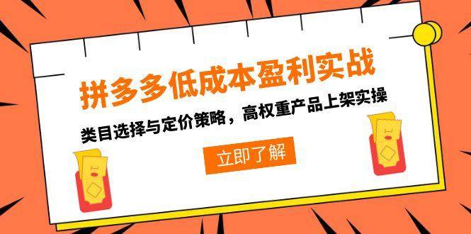 拼多多低成本盈利实战，类目选择与定价策略，高权重产品上架实操-尤课网创