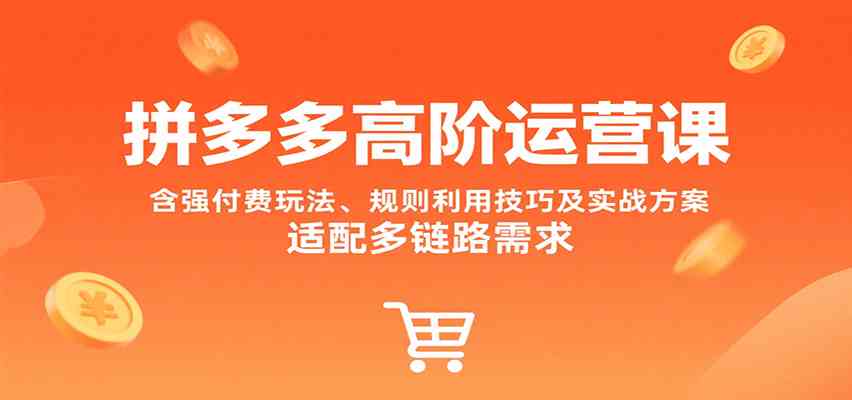 拼多多高阶运营课，含强付费玩法、规则利用技巧及实战方案，适配多链路需求-尤课网创