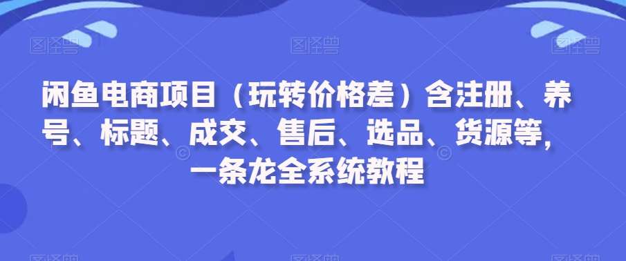 闲鱼电商项目（玩转价格差）含注册、养号、标题、成交、售后、选品、货源等，一条龙全系统教程-尤课网创