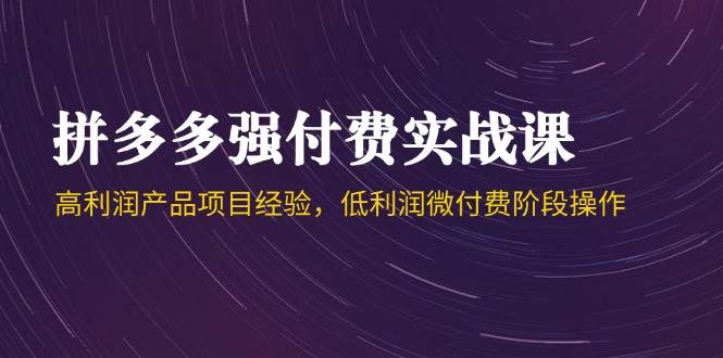 拼多多强付费实战课-44期，高利润产品项目经验，低利润微付费阶段操作-尤课网创