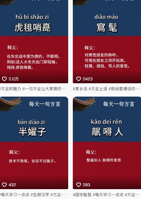 抖音最新涨粉玩法，图文方言暴力涨粉实操，126作品涨粉11W-尤课网创