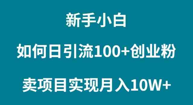 （9556期）新手小白如何通过卖项目实现月入10W+-尤课网创