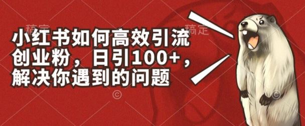 小红书如何高效引流创业粉，日引100+，解决你遇到的问题【揭秘】-尤课网创