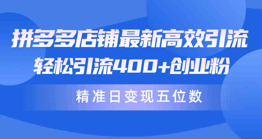 （10041期）拼多多店铺最新高效引流术，轻松引流400+创业粉，精准日变现五位数！-尤课网创