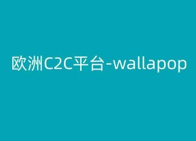 欧洲C2C平台-wallapop-kim跨境电商教程-尤课网创