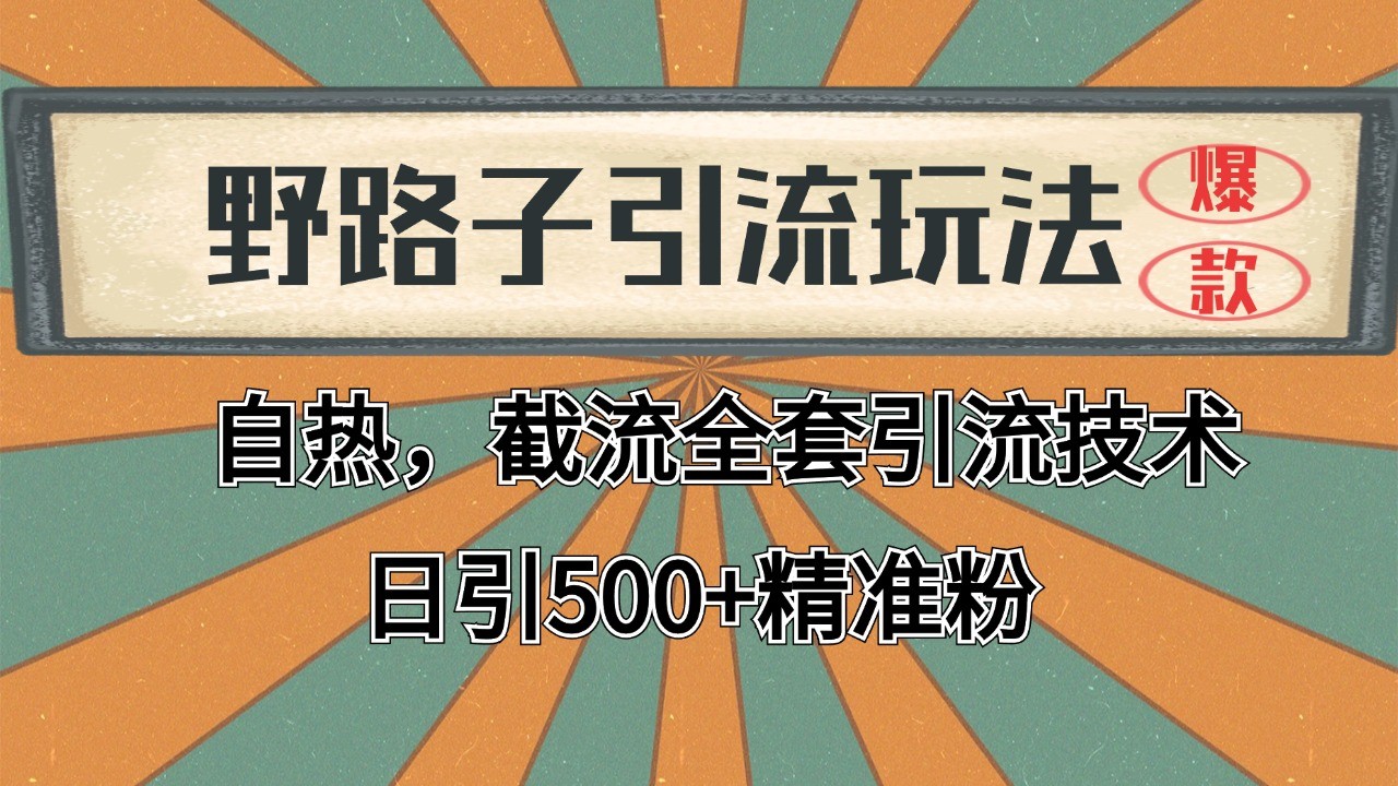 2024首发野路子引流玩法截流自热全平台打法，全自动引流【日引2000+精准客户】-尤课网创