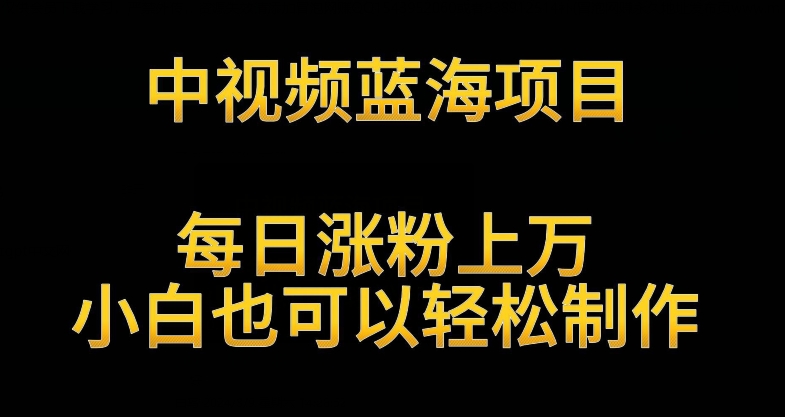 中视频蓝海项目，解读英雄人物生平，每日涨粉上万，小白也可以轻松制作，月入过万不是梦-尤课网创