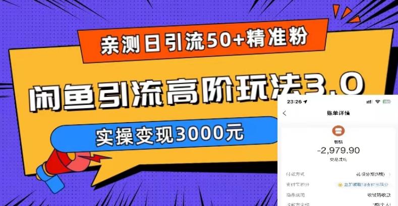 亲测日引50+精准粉，闲鱼引流高阶玩法3.0，实操变现3000元【揭秘】-尤课网创