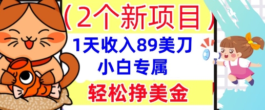 2个新项目，轻松挣美金， 1天收入89美刀，小白专属，干货分享-尤课网创