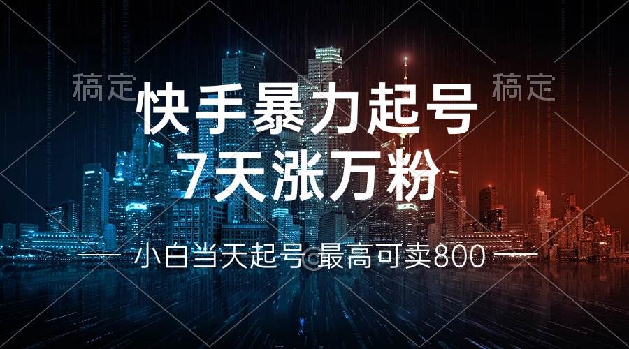 （13142期）快手暴力起号，7天涨万粉，小白当天起号 多种变现方式，账号回收，单月…-尤课网创