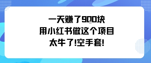 一天挣了9张用小红书做这个项目太牛了,空手套-尤课网创