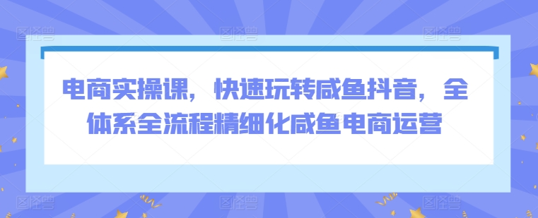 电商实操课，快速玩转咸鱼抖音，全体系全流程精细化咸鱼电商运营-尤课网创
