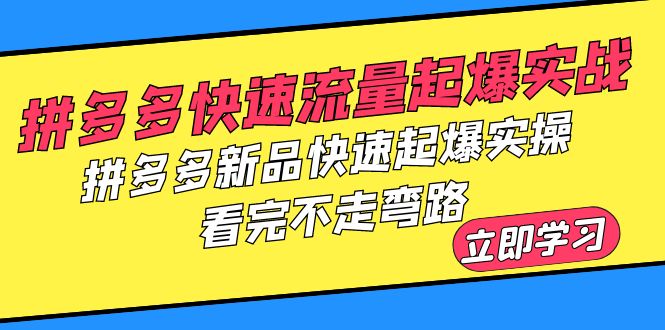 拼多多-快速流量起爆实战，拼多多新品快速起爆实操，看完不走弯路-尤课网创