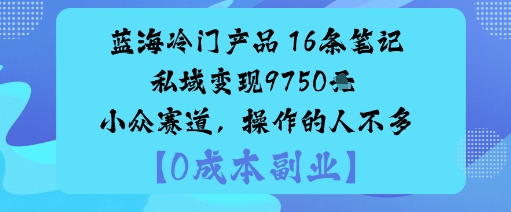 蓝海冷门产品:16条笔记私域变现9750米小众赛道,操作的人不多-尤课网创