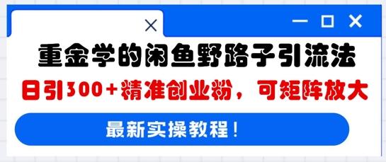 重金学的闲鱼野路子引流法，日引300+精准创业粉，可矩阵放大-尤课网创