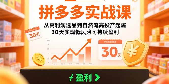 （15586期）拼多多实战课：从高利润选品到自然流高投产起爆 30天实现低风险可持续盈利-尤课网创