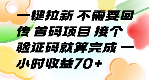 一键拉新 不需要回传 首码项目 接个验证码就算完成 一小时收益70+【揭秘】-尤课网创