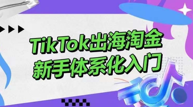 TikTok出海淘金，新手体系化入门，零基础快速入门，掌握短视频、直播带货等引流到变现的知识-尤课网创