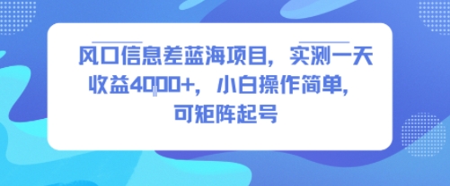 风口信息差蓝海项目，实测一天收益4k+，小白操作简单，可矩阵起号-尤课网创