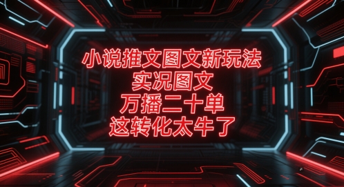 小说推文图文新玩法，实况图文，万播二十单，这转化太牛了！-尤课网创