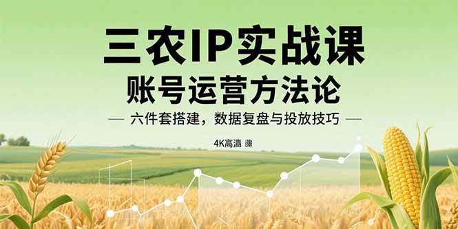 （15864期）三农IP实战课：账号运营方法论，六件套搭建，数据复盘与投放技巧-尤课网创