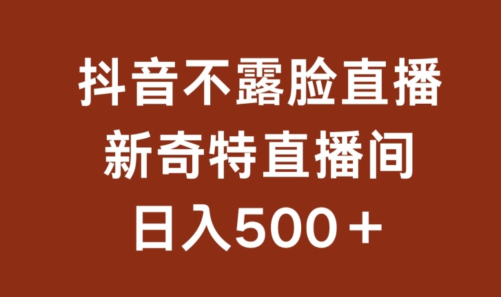 不露脸挂机直播，新奇特直播间，日入500+-尤课网创