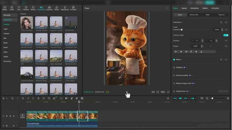 （17091期）AI橘猫爆款视频课：创意脚本，AI生成，平台适配，从零开始打造千万播放萌宠账号-尤课网创