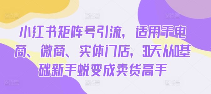 小红书矩阵号引流，适用于电商、微商、实体门店，30天从0基础新手蜕变成卖货高手-尤课网创