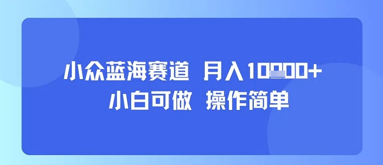 小众蓝海赛道，小白可做，操作简单，每天30分钟，月入1W+-尤课网创