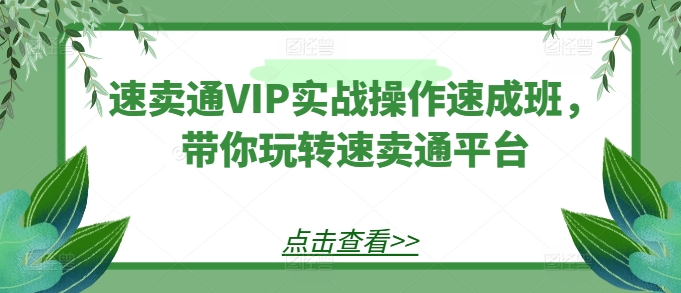 速卖通VIP实战操作速成班，带你玩转速卖通平台-尤课网创