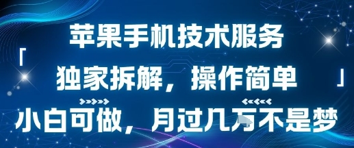 苹果手机技术服务，独家拆解，操作简单，小白可做，月过1W不是梦-尤课网创