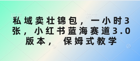 私域卖壮锦包，一小时3张，小红书蓝海赛道3.0版本， 保姆式教学-尤课网创