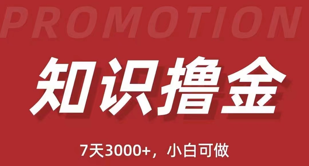 抖音知识撸金项目：简单粗暴日入1000+执行力强当天见收益(教程+资料)-尤课网创