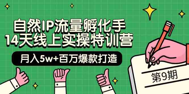 自然IP流量孵化手14天线上实操特训营【第9期】月入5w+百万爆款打造 (74节)-尤课网创