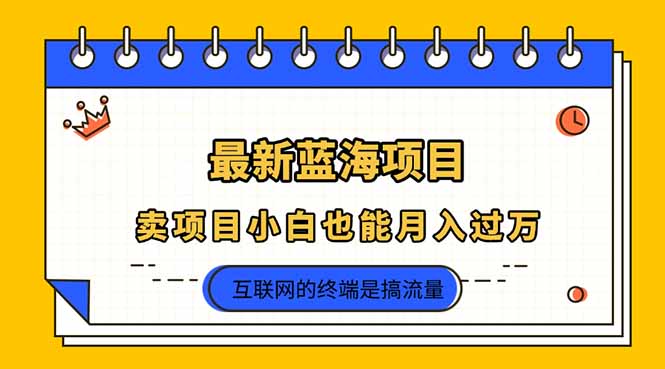 （14289期）2025年最新蓝海项目，卖项目小白也能月入过万-尤课网创