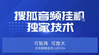 【搜狐音频挂G】独家技术，可矩阵可放大，红利期稳定月入8k【揭秘】-尤课网创