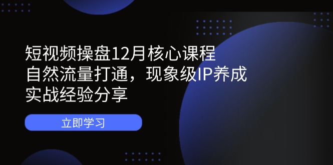 短视频操盘12月核心课程：自然流量打通，现象级IP养成，实战经验分享-尤课网创