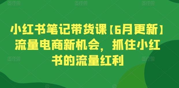 小红书笔记带货课【6月更新】流量电商新机会，抓住小红书的流量红利-尤课网创