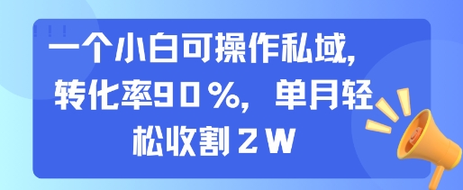 一个小白可操作私域，转化率90%，单月轻松收割2W-尤课网创