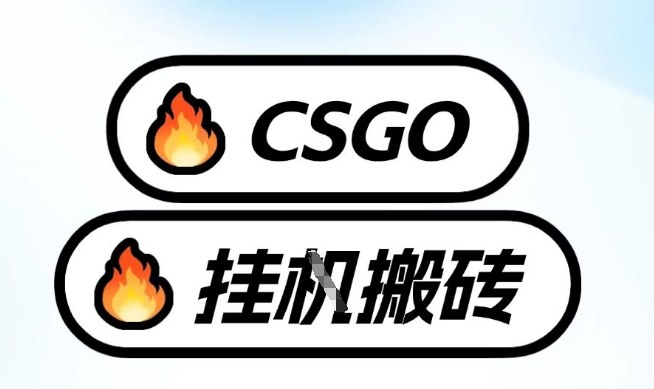 真全网独家CSGO挂G，最新玩法,单日捡漏1K+，不用电脑，不用打游戏【揭秘】-尤课网创