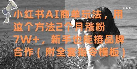 小红书AI商单玩法，用这个方法2个月涨粉7W+，新手也能接品牌合作(附全套指令模板)-尤课网创