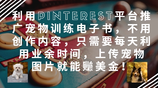 利用Pinterest平台推广宠物训练电子书，不用创作内容，只需要每天利用业余时间，上传宠物图片就能挣美金!-尤课网创