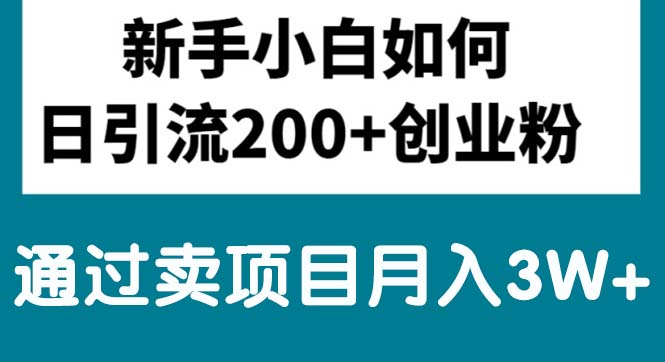 （10843期）新手小白日引流200+创业粉,通过卖项目月入3W+-尤课网创