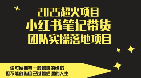 2025超火项目，副业最佳选择，小红书笔记带货团队实操落地项目，，轻松日入5张-尤课网创