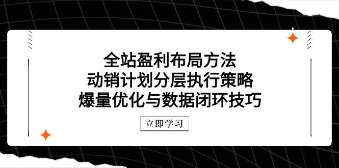 全站盈利布局方法：动销计划分层执行策略，爆量优化与数据闭环技巧-尤课网创