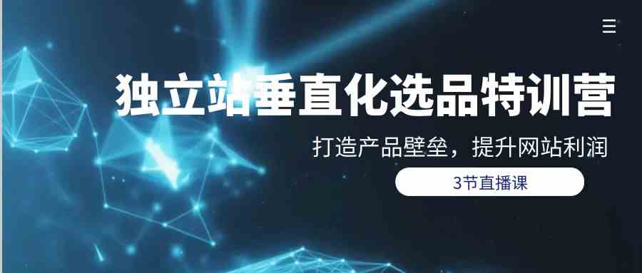 独立站垂直化选品训练营，打造产品壁垒，提升网站利润（3节直播课）-尤课网创